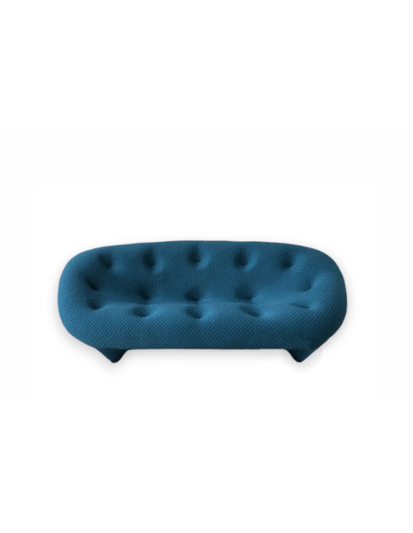 Divano e Pouf Ploum (Offerta Expo) Ligne Roset - 7