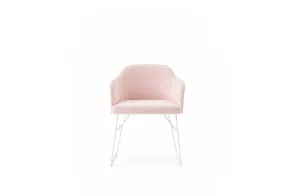 Chaise Spy Billiani - 1