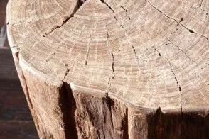 Sgabello Log 2