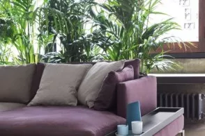 Free Sofa 2