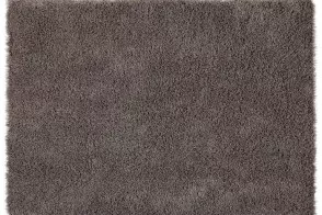 Fogg Carpet 2