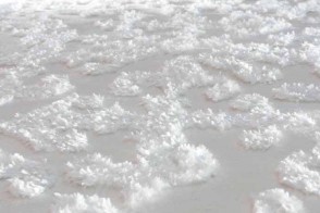 Tapis Textures 2