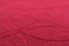 Rani Carpet 2
