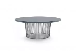 Table Berry