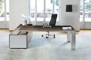 Ono Executive Desk 2