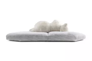Pack Sofa
