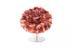 Poltroncina Bouquet Moroso - 1