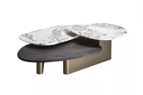 Callisto Mix Wood Coffee Table