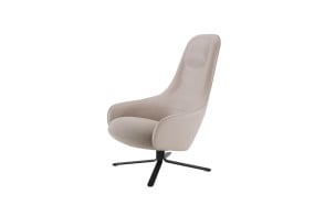 Ligne Roset Moa Armchair | Online Shop 2