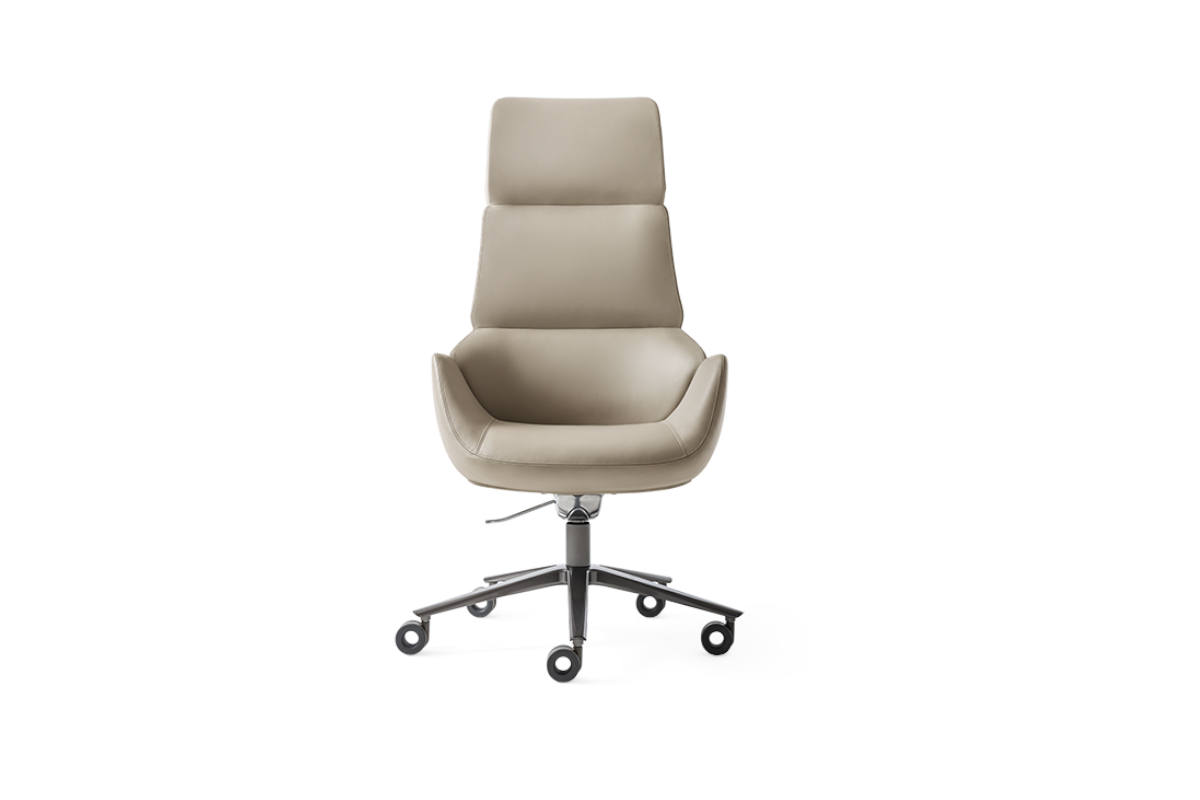 Giorgetti Calathea Executive Armchair