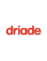 Driade